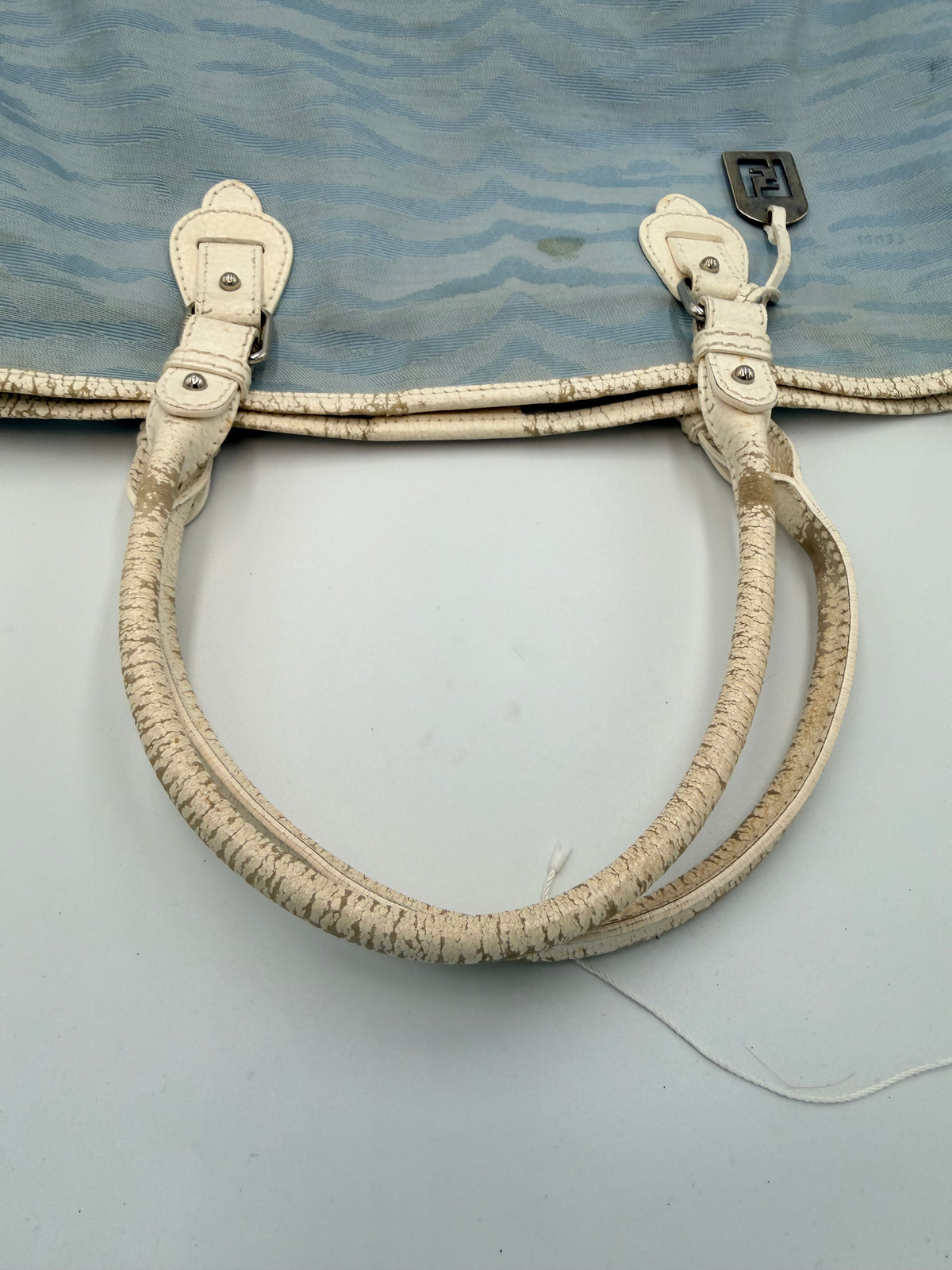 Fendi Vintage Zucca Zebra Tote Bag – Light Blue & White