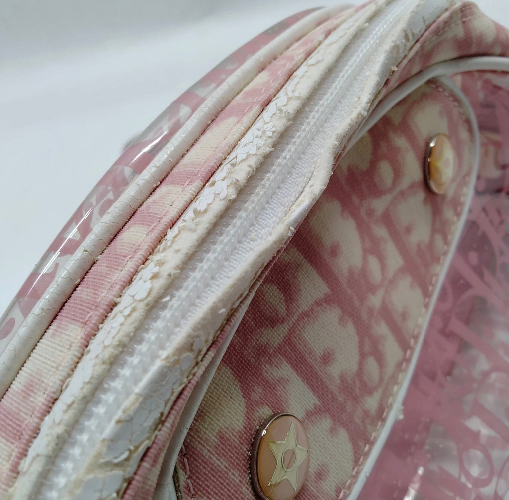 Christian Dior Pink Trotter Jelly Crossbody Bag