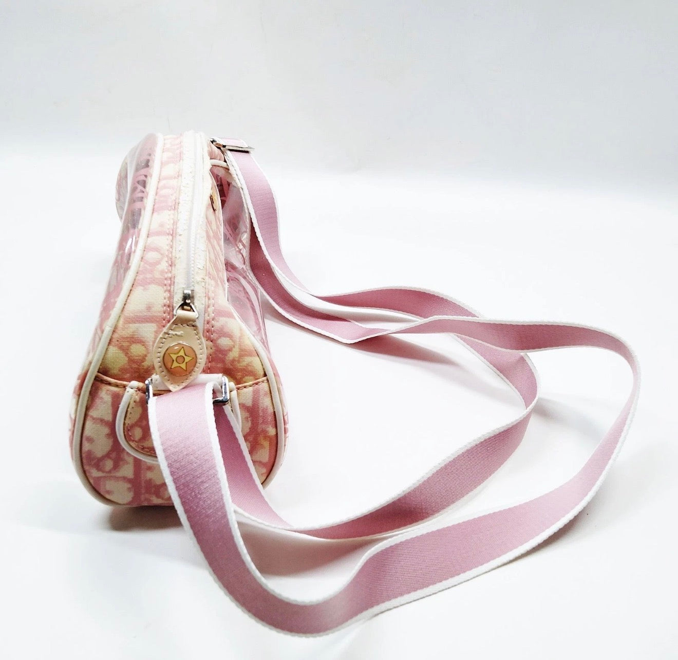 Christian Dior Pink Trotter Jelly Crossbody Bag