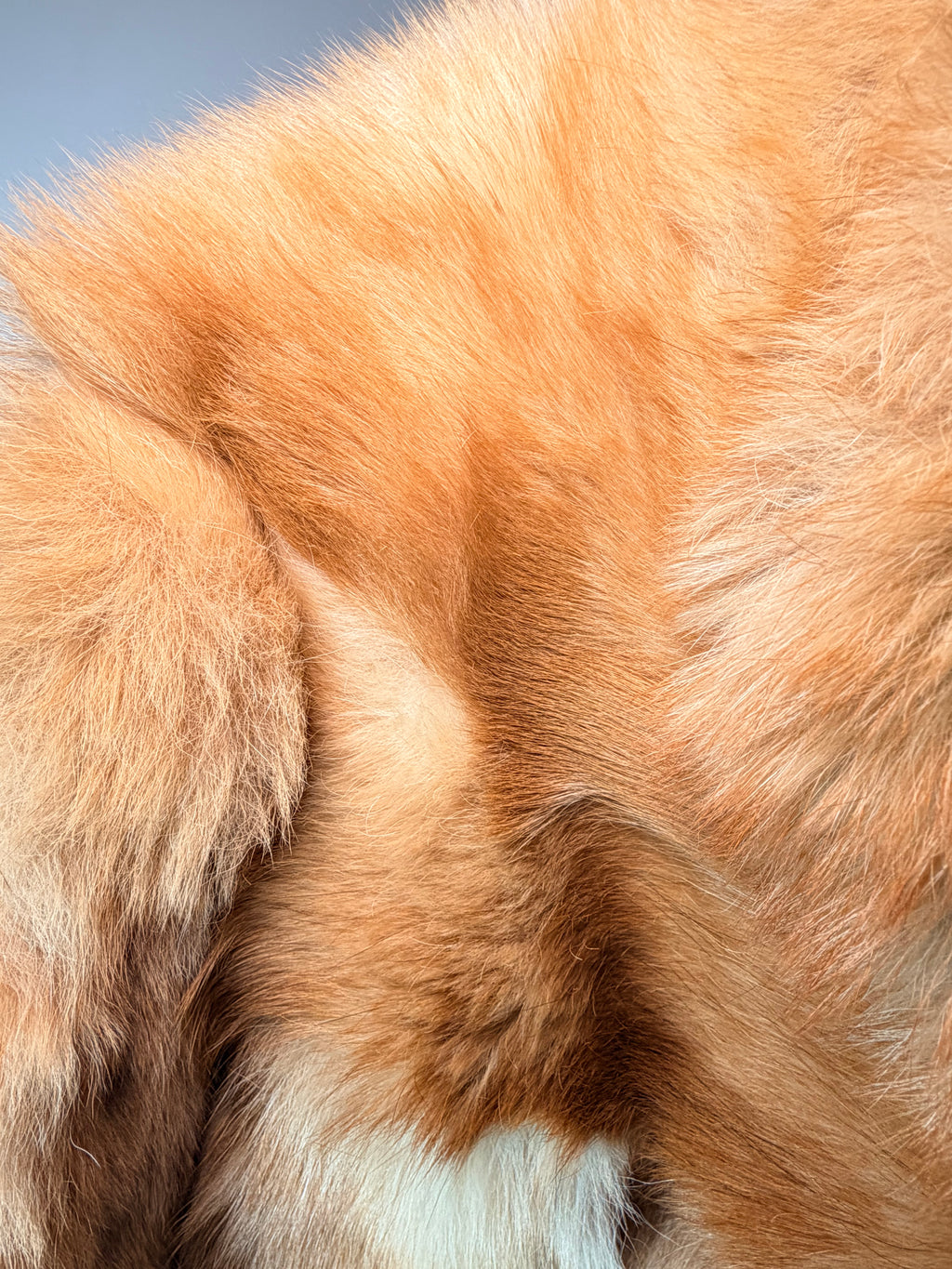 Vintage Fox Fur Coat – Crystal & Honey Tones (Medium)