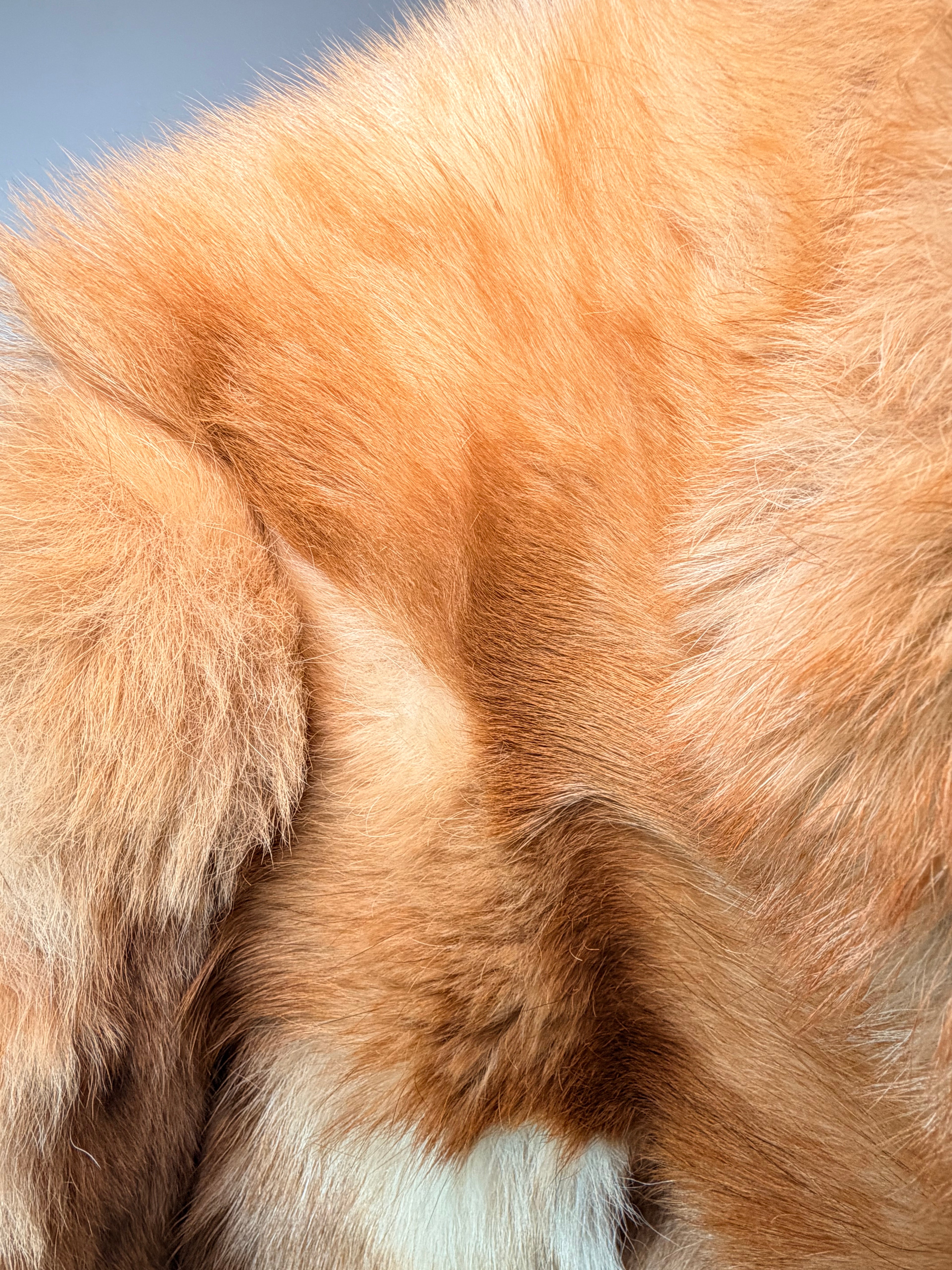 Vintage Fox Fur Coat – Crystal & Honey Tones (Medium)