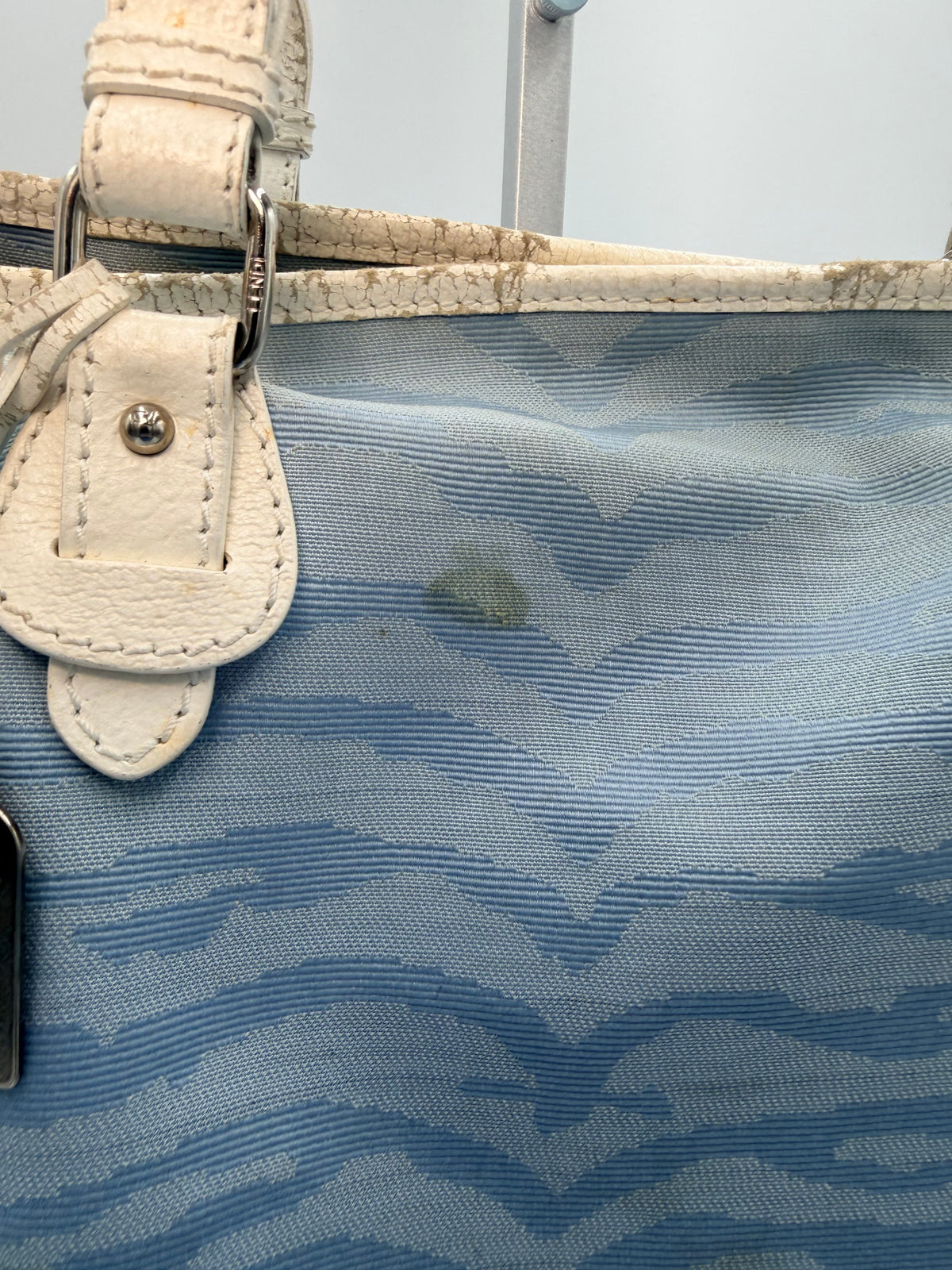 Fendi Vintage Zucca Zebra Tote Bag – Light Blue & White