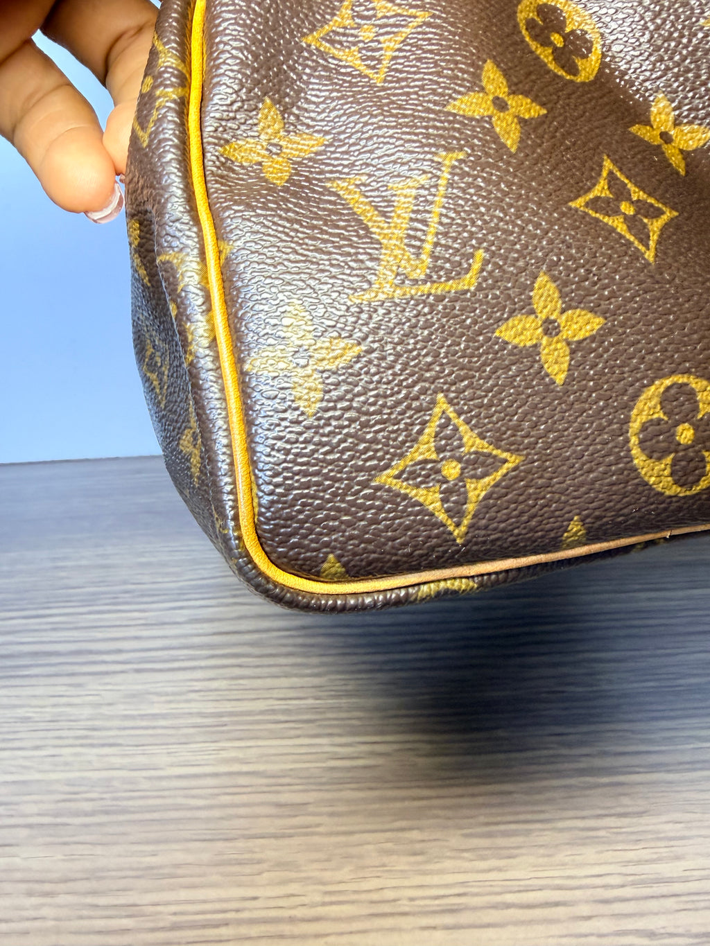 Louis Vuitton Monogram Speedy 25