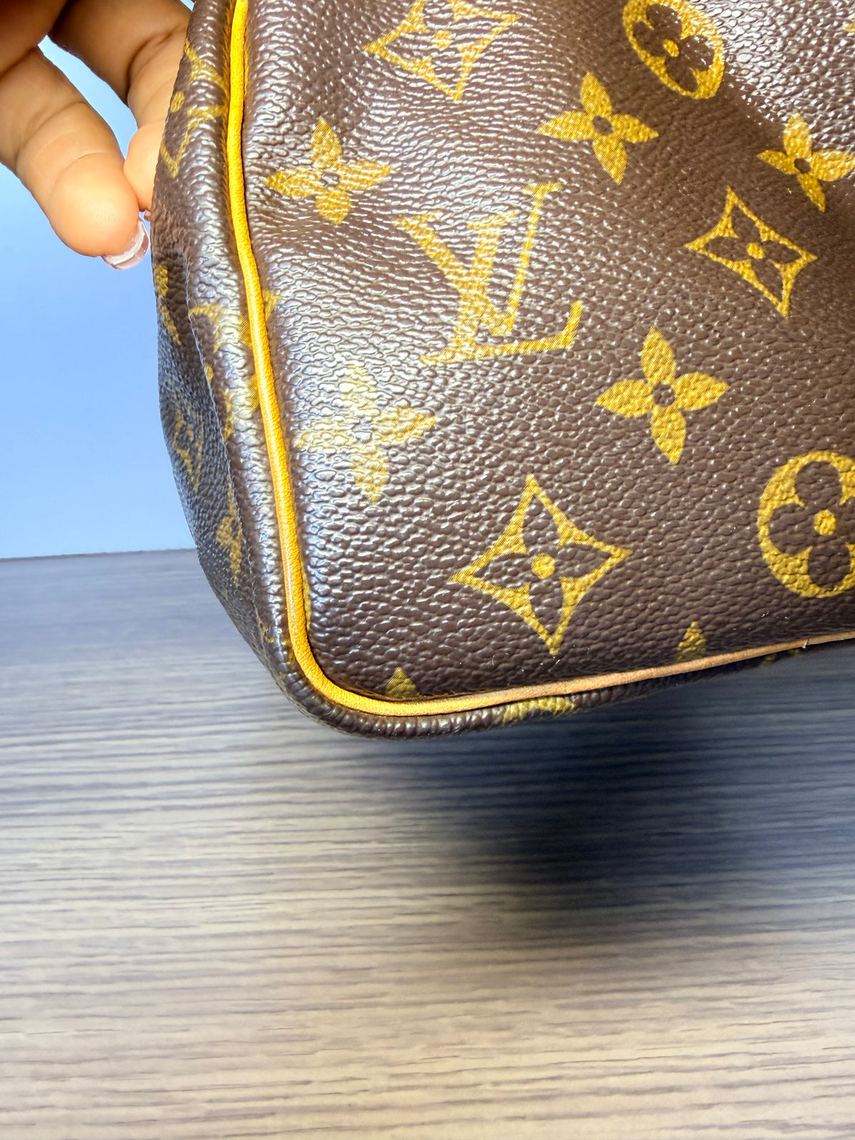 Louis Vuitton Monogram Speedy 25