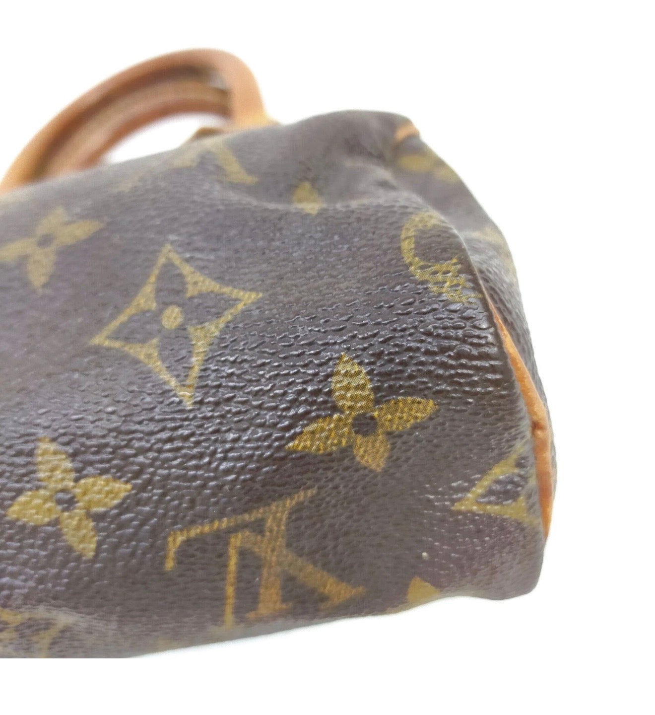 Louis Vuitton Nano Speedy