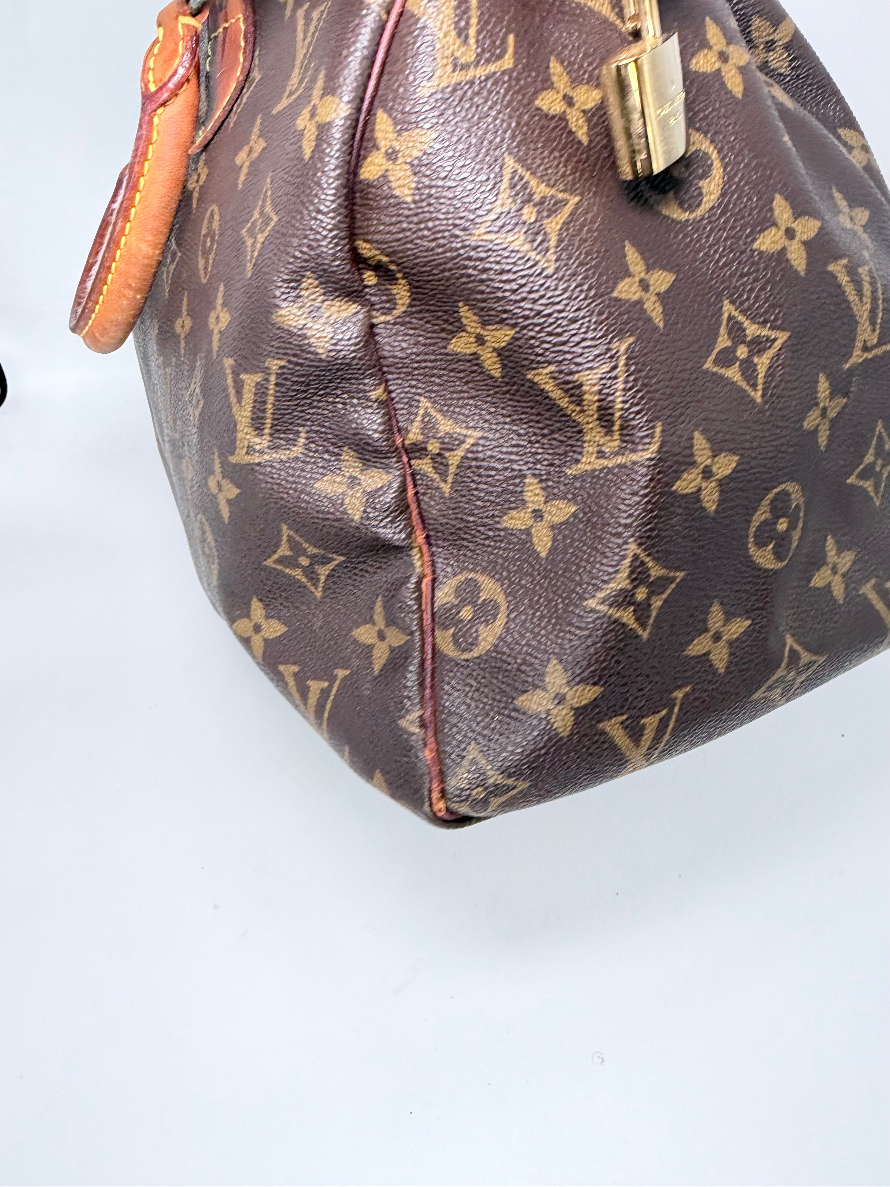 Louis Vuitton Speedy 30