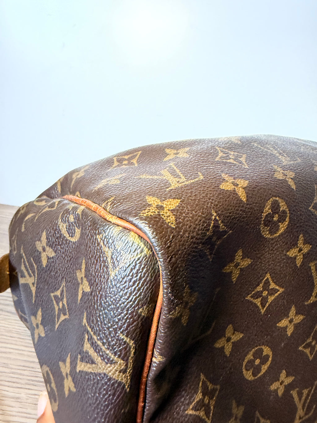 Louis Vuitton Monogram Speedy 30