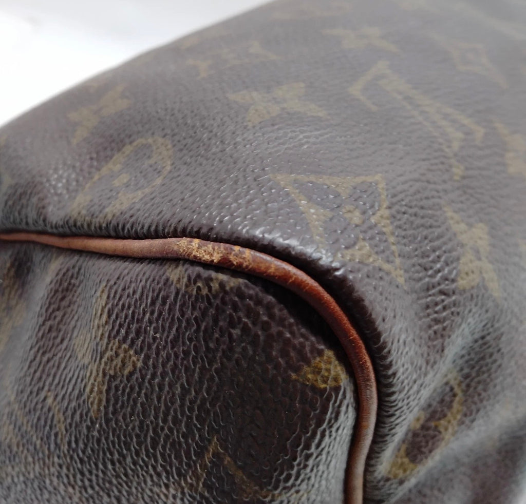 Louis Vuitton Monogram Speedy 25