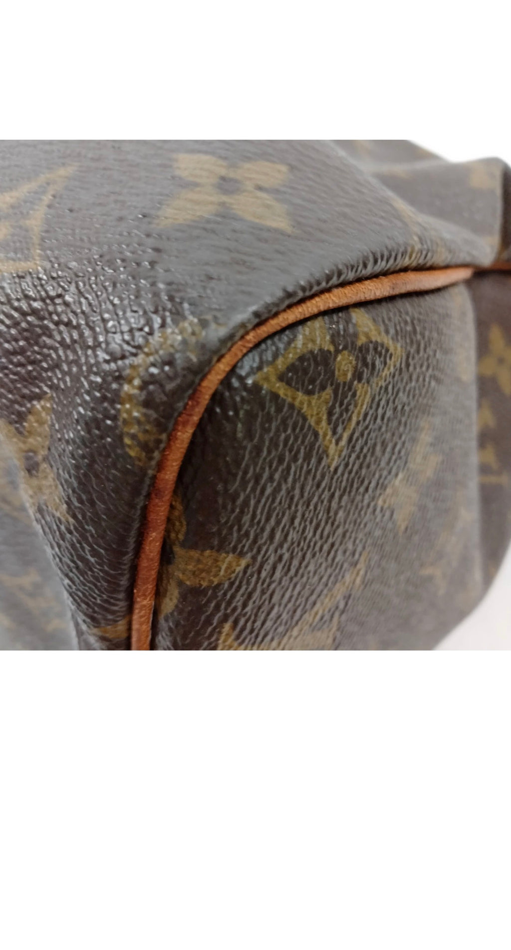 Louis Vuitton Speedy 30 – Monogram