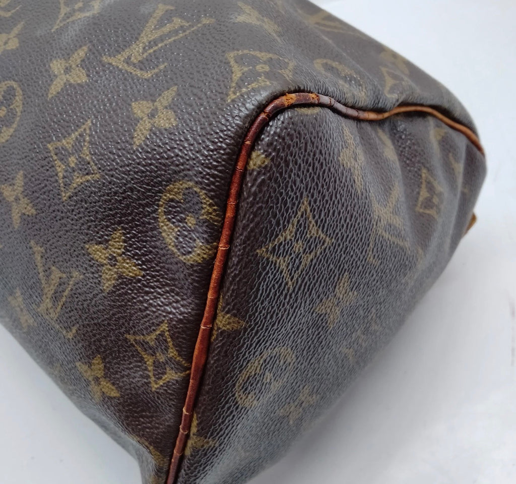 Louis Vuitton Speedy 25– Monogram