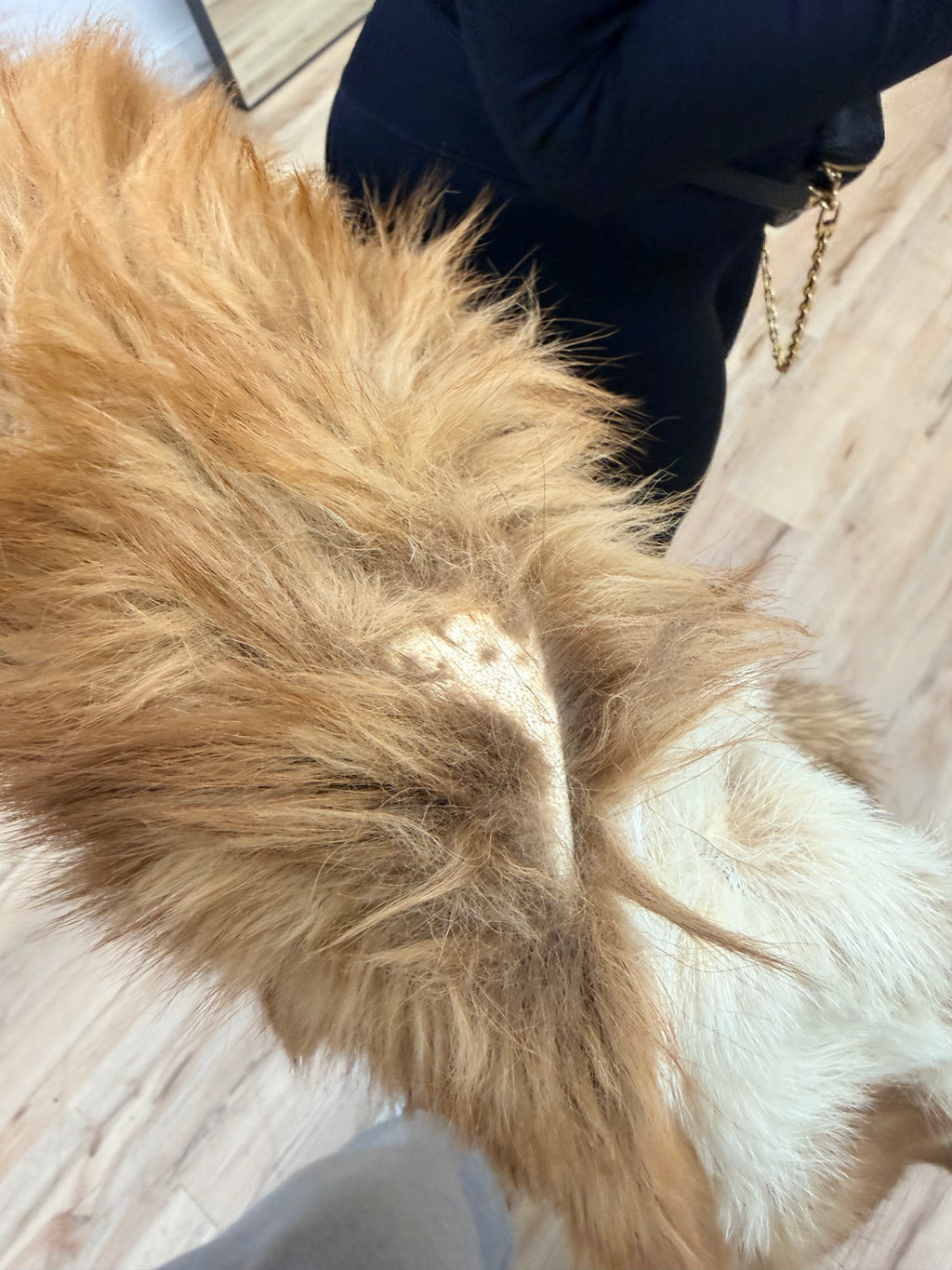 Medium Fur