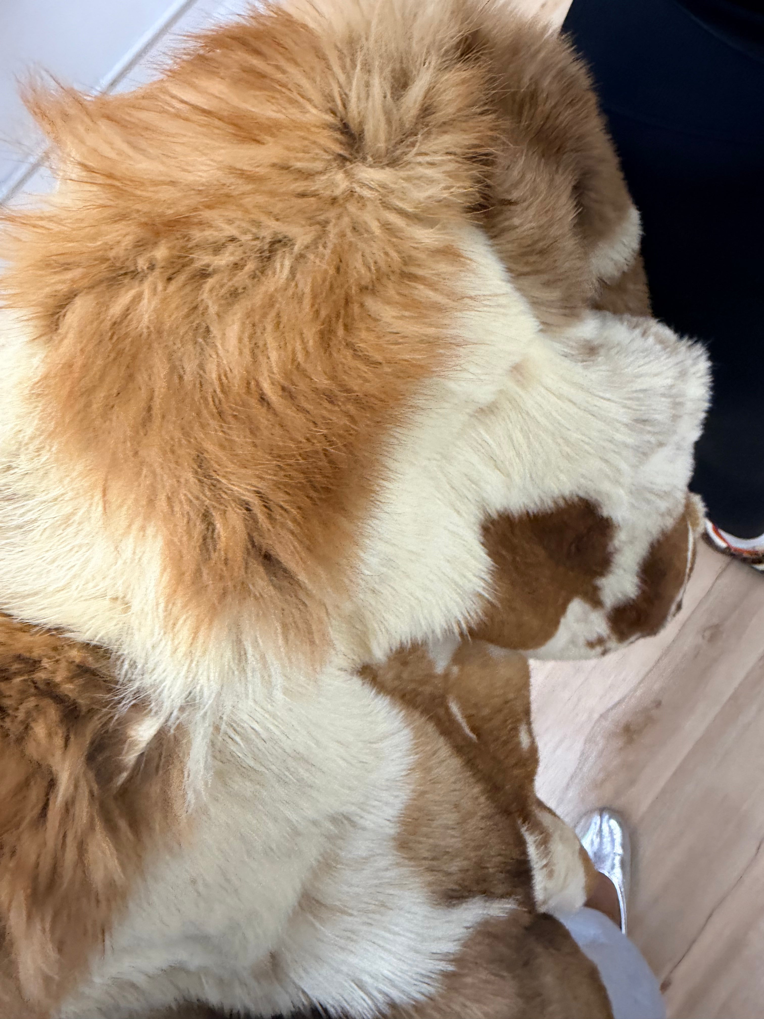 Medium Fur