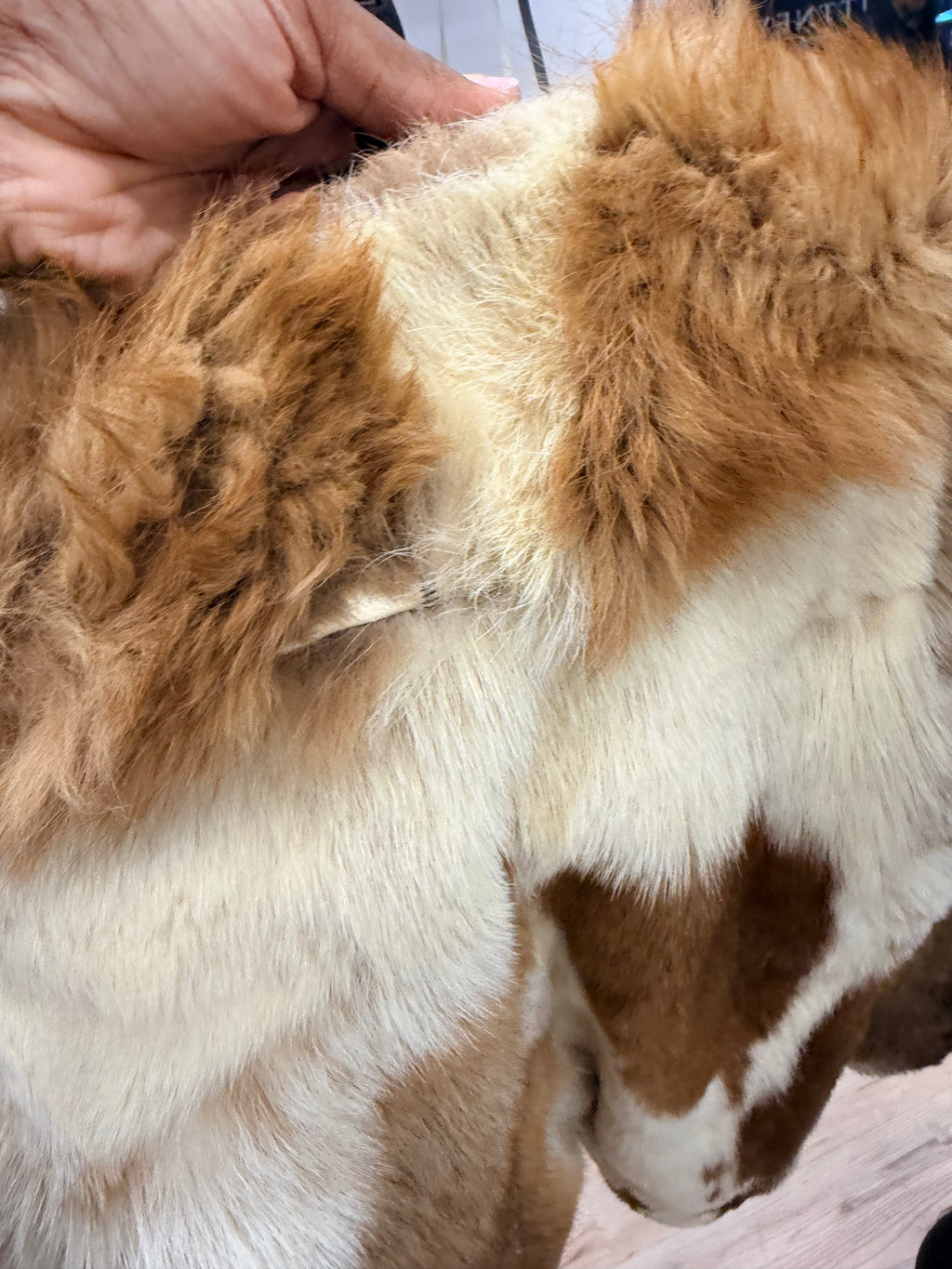 Medium Fur