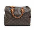 Louis Vuitton Monogram Speedy 25